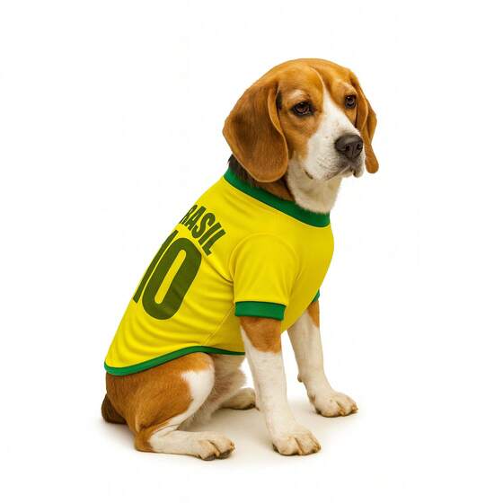Camiseta Pet Brasil 10